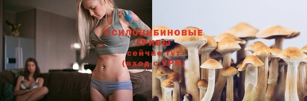 мяу мяу мука Алексин