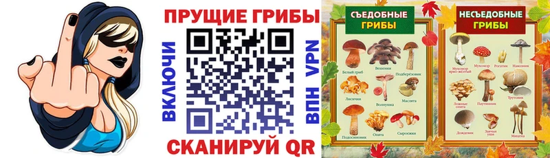 Галлюциногенные грибы Cubensis  как найти закладки  Чехов 